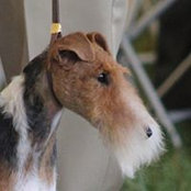 Carol Nemeth's photo