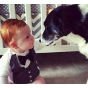 Lauren Gallo Moore's photo