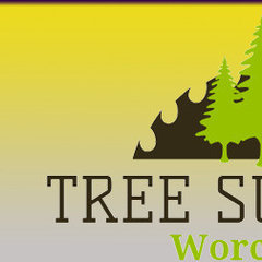 Tree Surgeon Worcester