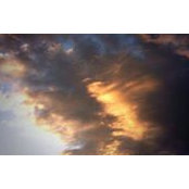 Andrea DiCarlo's photo