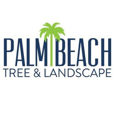 Palm Beach Tree & Landscape
