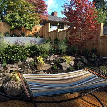 Mid-century modern backyard remodel