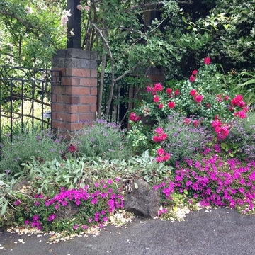 A Romantic Garden