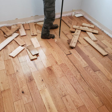 Markham Full House Renovation (in progress)