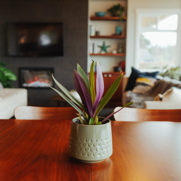 60's Time Capsule Remodel