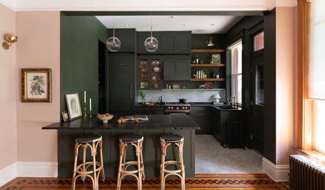Kitchen of the Week: Rich Color and Style in a 19th-Century Condo