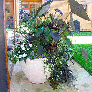 Container Gardens