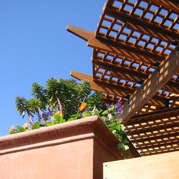Trellis Addition