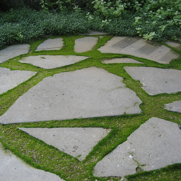 Pasadena garden