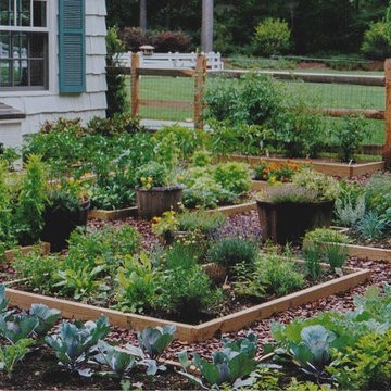 Vegetable Gardens