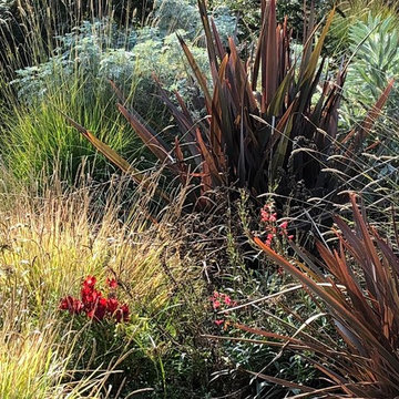 Sonoma County Garden