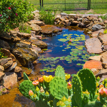 The Golden Pond and Water Features