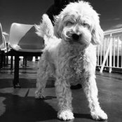 Nigel Merriman's photo