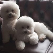 Jennifer Lo's photo