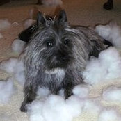 Joan Shuck's photo
