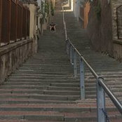 Adrian Tiron's photo