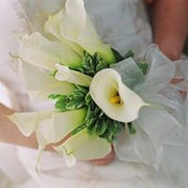 Mary Vaughan's photo