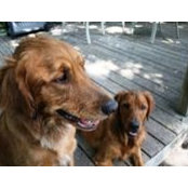 Mary Everson Blum's photo