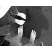 David Taylor's photo