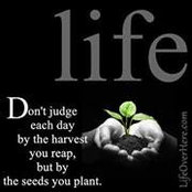 William White's photo
