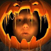 Mindi Torrey's photo