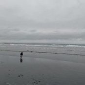 Kari Rathjen's photo