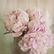 Mai Na's photo