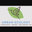 Urban Ecology