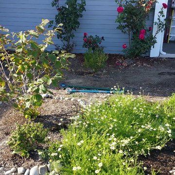 Edible Front Yard