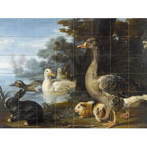 View of the village with ducks Tile Mural Kitchen Wall Backsplash Marble Ceramic 