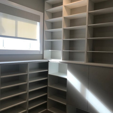 Custom Home Library
