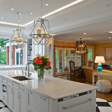 Hyde Park Addition & Renovation