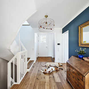 This is an example of a medium sized bohemian foyer in Dusseldorf with blue walls, dark hardwood flooring, a single front door and a white front door.
