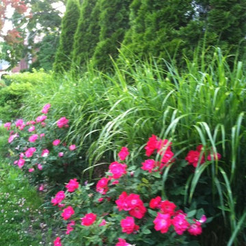 Colorful linear garden beds