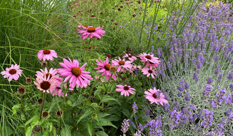 Phänologischer Kalender – oder die 10 Jahreszeiten des Gartens