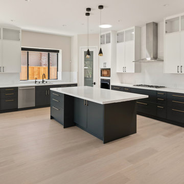 New residence, Cupertino - 4