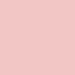 Bella Pink - Paint