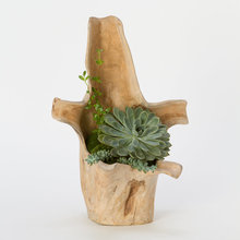 raphael_beaumond's ideas
