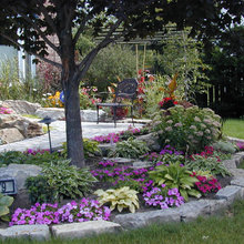 Garden Love