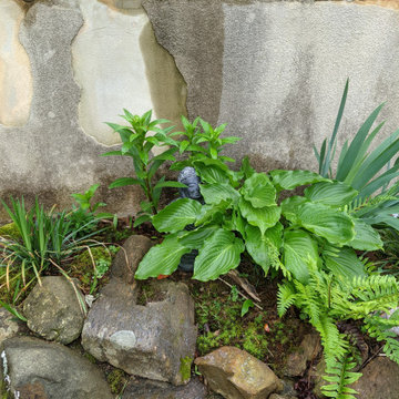 Front Planter Bed Reonvation - Waterfall, Stream, and Small Koi Pond