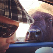 Jared Still's photo