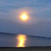 Vicki Heckman's photo