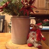 Tracey Johnston-Chaussi's photo