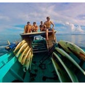 Chad Cashin's photo