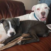 Barbara Long's photo