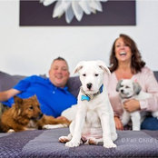 Deanna Wolfe's photo