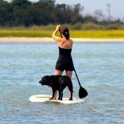 Sue Calger's photo