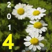 Foto von عصام سوكه