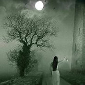 Heather Brenner's photo
