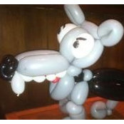 Photo de bergie1